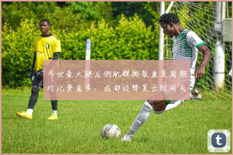 韦世豪大腿后侧肌群撕裂康复周期对比费南多，成都边锋复出时间或将晚于泰山归化